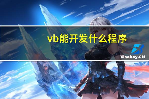 vb能开发什么程序