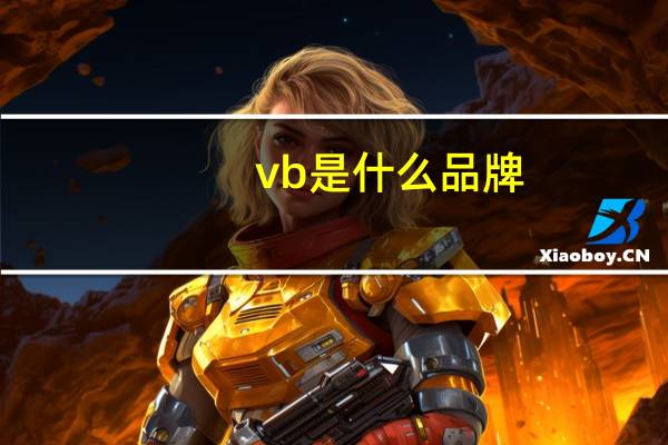 vb是什么品牌(vb是什么)