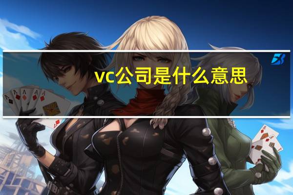 vc公司是什么意思