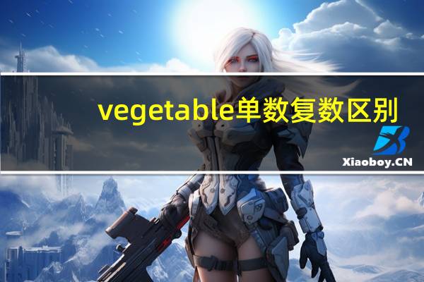 vegetable单数复数区别