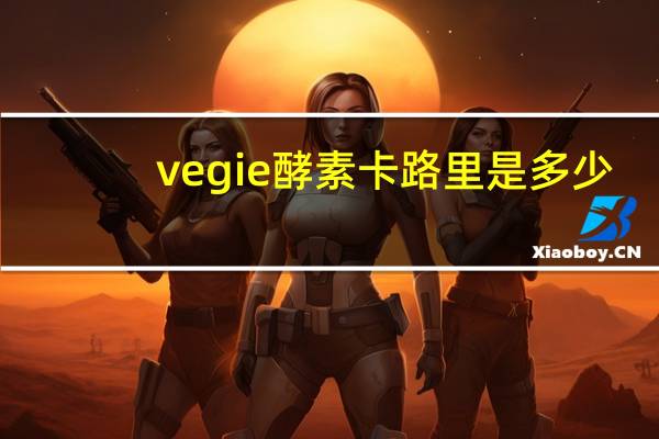 vegie 酵素卡路里是多少