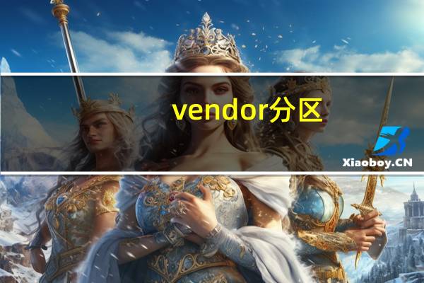 vendor分区（vista分区）