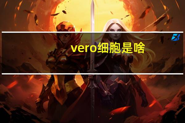 vero细胞是啥（vero细胞）