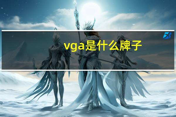 vga是什么牌子（vga是什么）