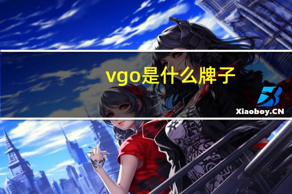 vgo是什么牌子