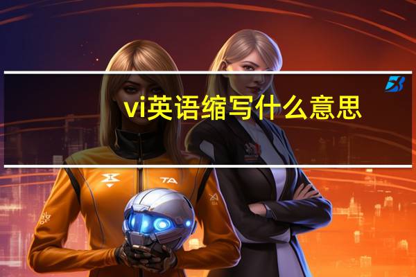 vi英语缩写什么意思
