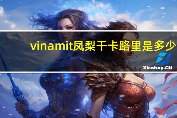 vinamit 凤梨干卡路里是多少