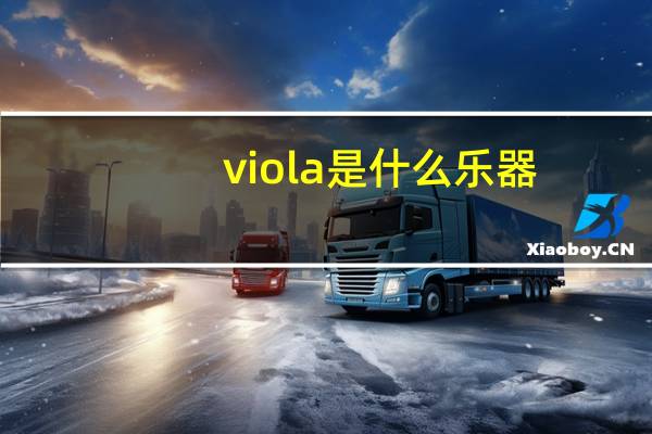viola是什么乐器
