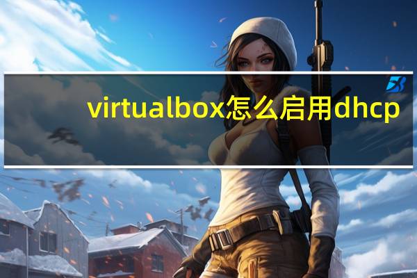 virtualbox怎么启用dhcp（virtualbox怎么用）