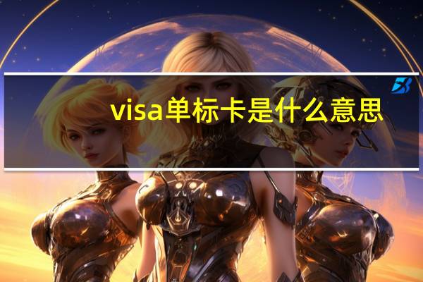 visa单标卡是什么意思