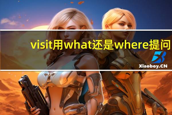 visit用what还是where提问