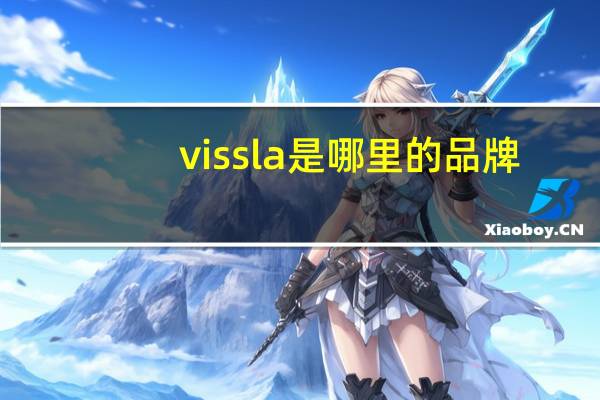 vissla是哪里的品牌