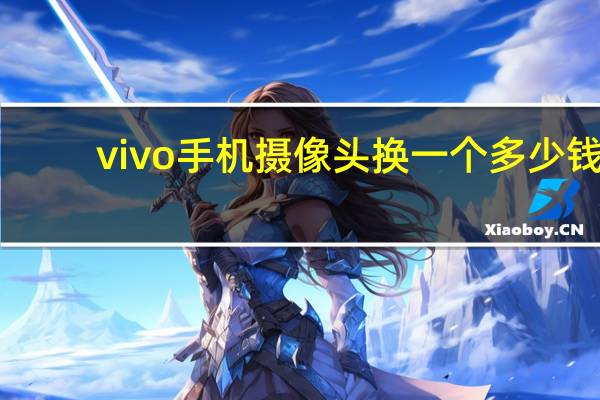 vivo手机摄像头换一个多少钱