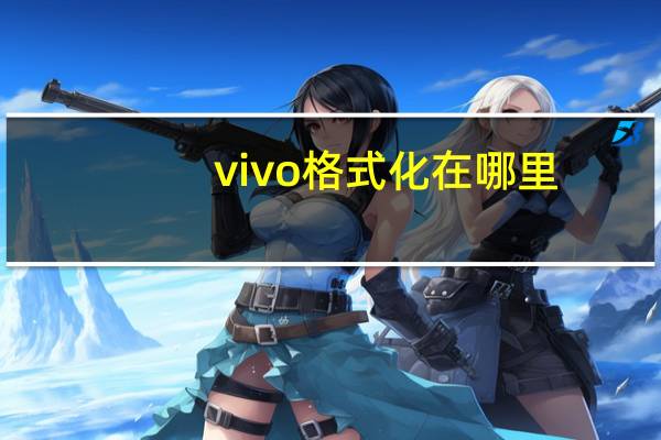 vivo格式化在哪里