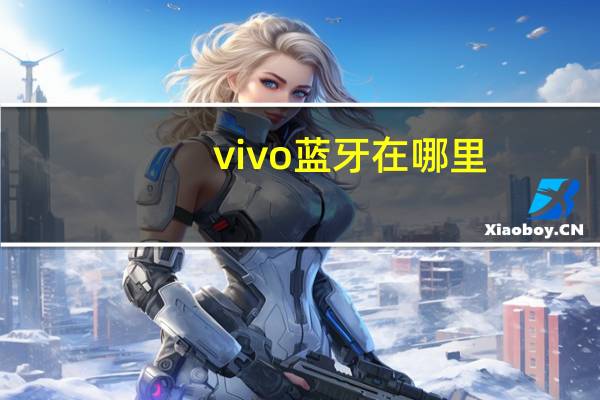vivo蓝牙在哪里