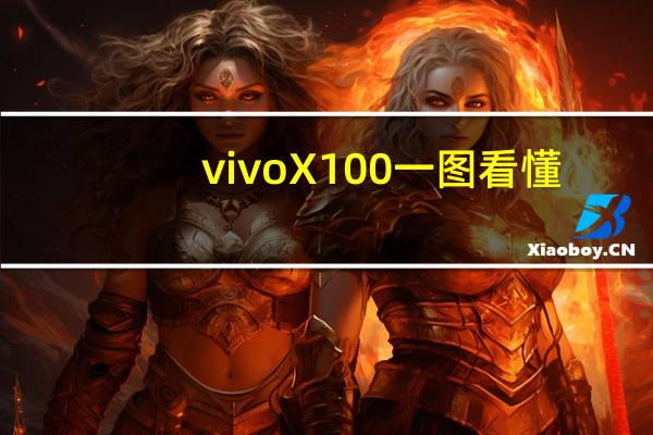 vivo X100一图看懂:最强标准版!12+256GB起步不凑数