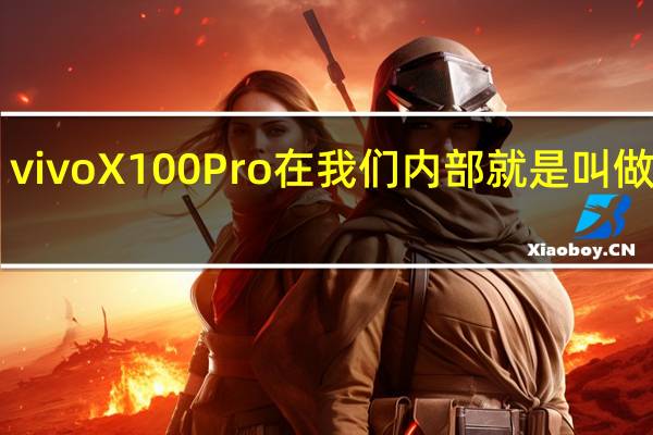 vivoX100Pro在我们内部就是叫做Pro+