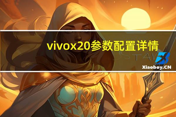 vivox20参数配置详情