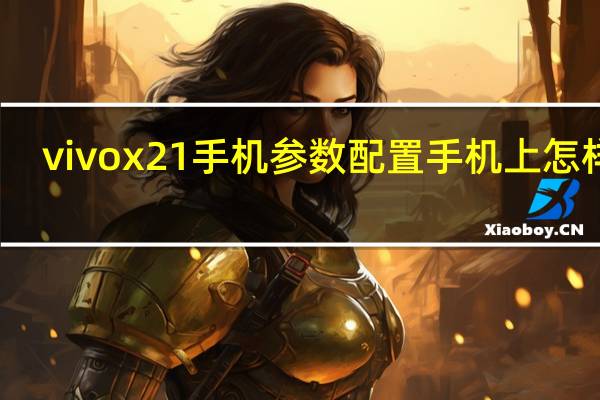 vivox21手机参数配置手机上怎样看（vivox21手机参数）