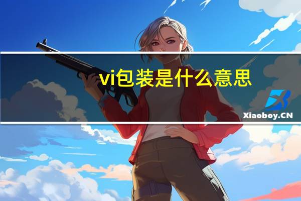 vi包装是什么意思