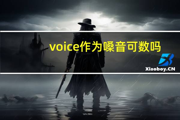 voice作为嗓音可数吗