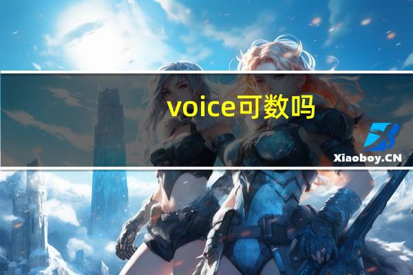 voice可数吗