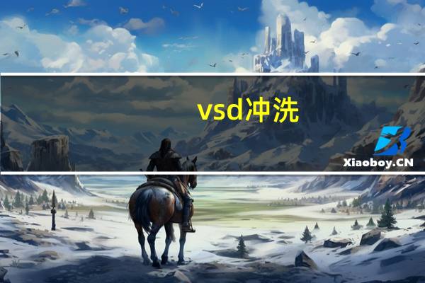 vsd冲洗（vsd）