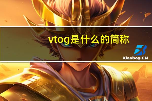 vtog是什么的简称