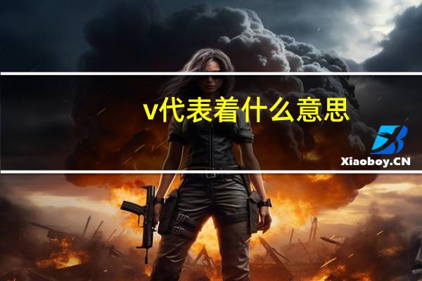 v代表着什么意思