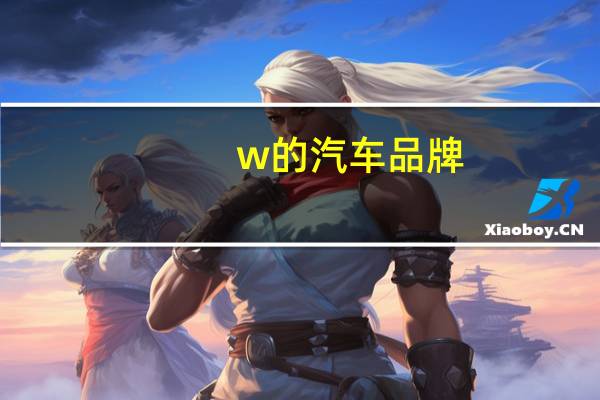 w的汽车品牌