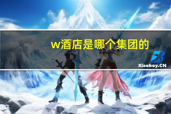 w酒店是哪个集团的