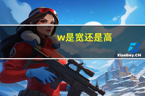 w是宽还是高