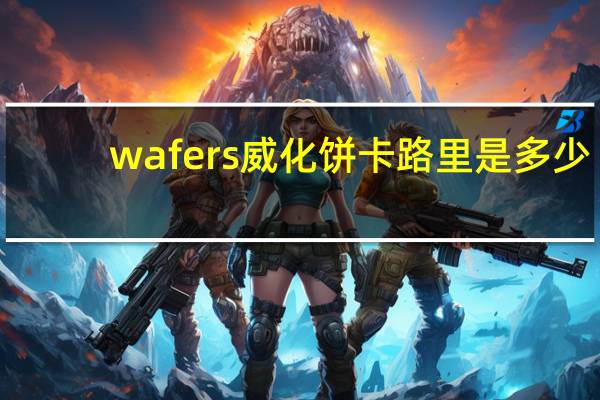 wafers 威化饼卡路里是多少