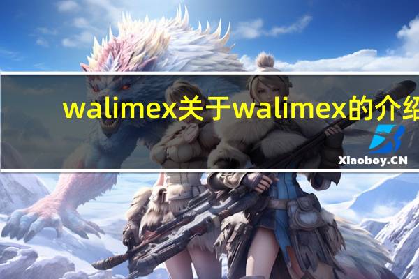 walimex 关于walimex的介绍