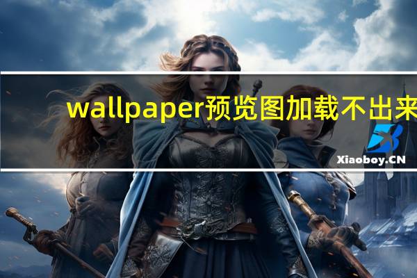 wallpaper预览图加载不出来
