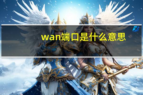 wan端口是什么意思