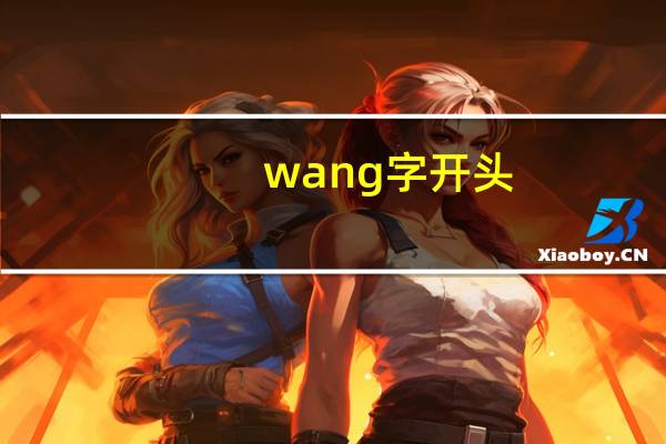 wang字开头
