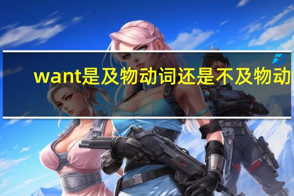 want是及物动词还是不及物动词