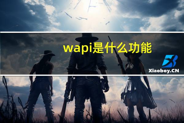 wapi是什么功能（wapi是什么）