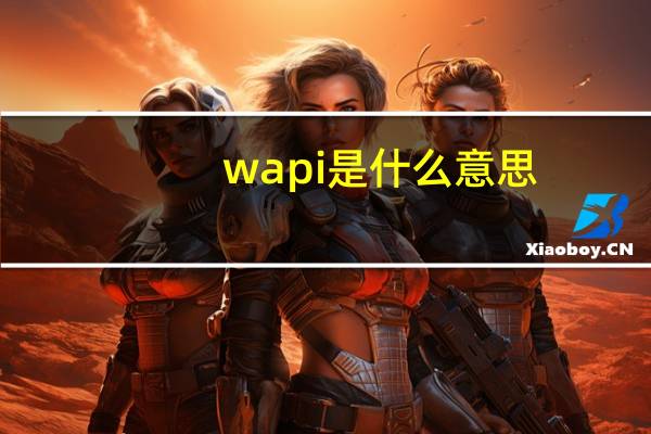 wapi是什么意思?苹果手机wapi有什么用?要开启吗