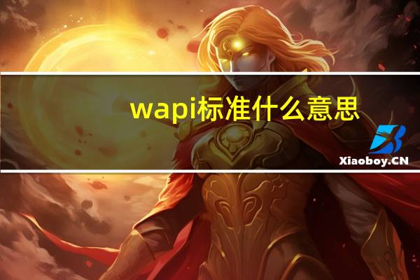 wapi标准什么意思（wapi是什么意思）