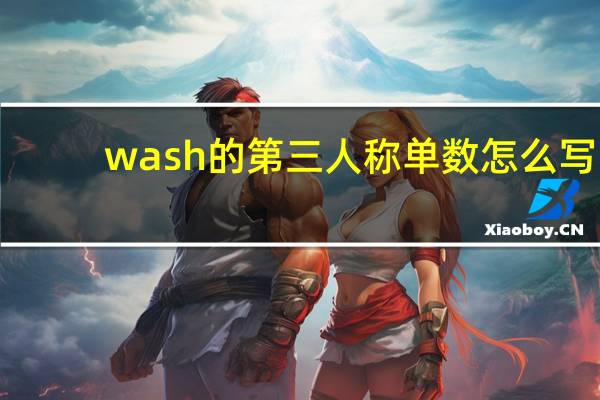 wash的第三人称单数怎么写