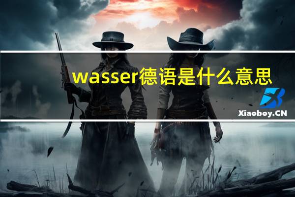 wasser德语是什么意思