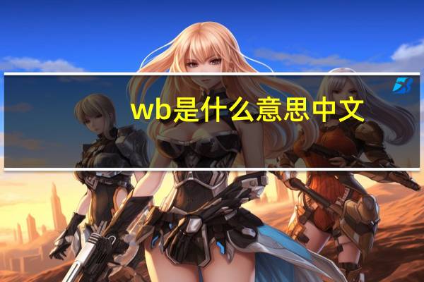 wb是什么意思中文（wb是什么意思）