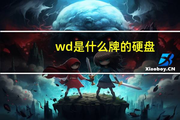 wd是什么牌的硬盘