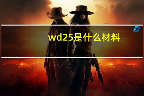 wd25是什么材料