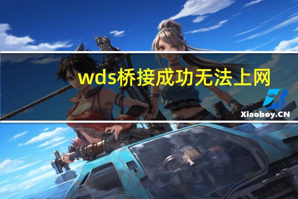 wds桥接成功无法上网（wds）