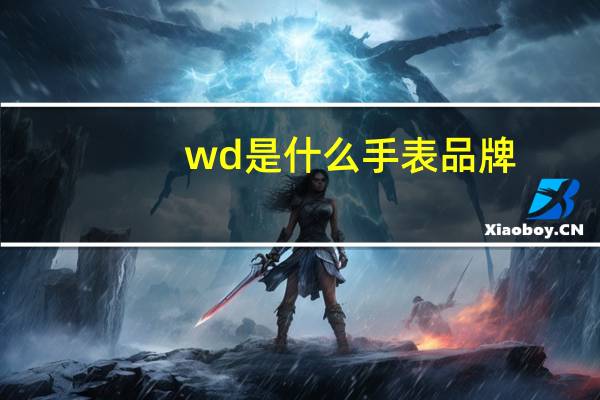 wd是什么手表品牌