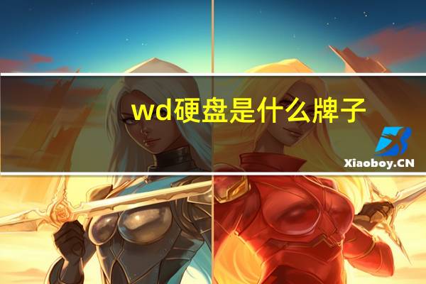 wd硬盘是什么牌子