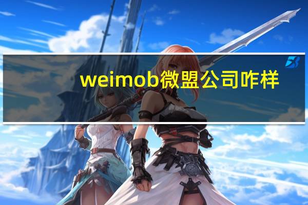 weimob微盟公司咋样（weimob微盟）